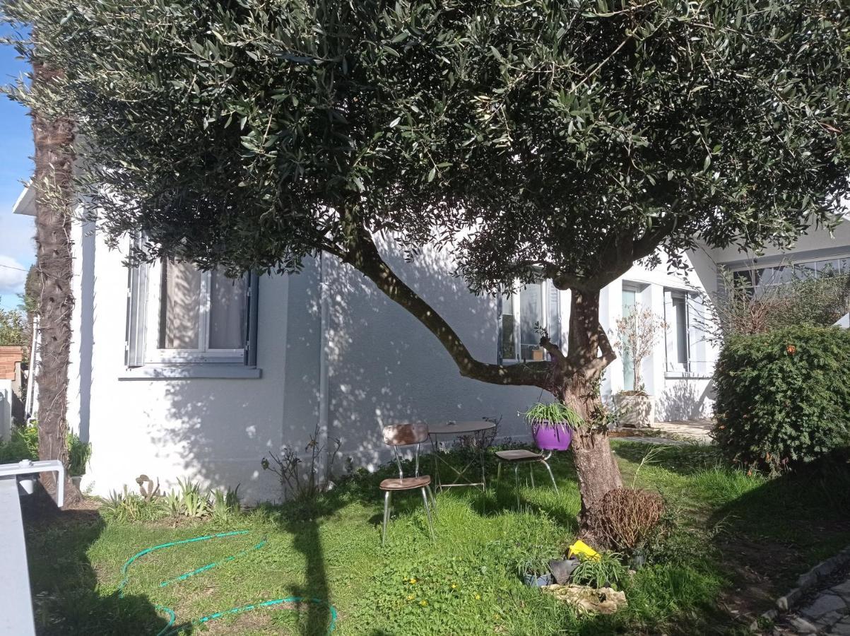 Chambre Meublee Independante, Avec Piscine Et Jardin, 1 Lit Pour 2 Personnes Direct Gare Aeroport Toulouse Exteriör bild